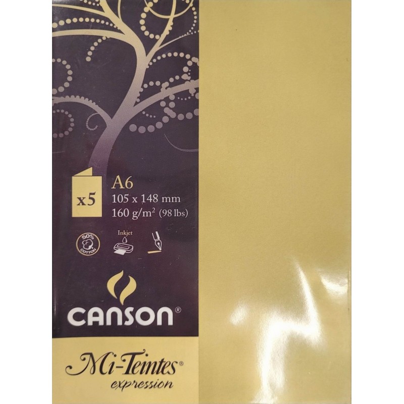 Canson - Blister de 5 cartes pliées mi teintes - Anis - 105x148 mm - 160g/m2