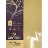 Canson - Blister de 5 cartes pliées mi teintes - Anis - 105x148 mm - 160g/m2