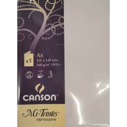 Canson - Blister de 5 cartes pliées mi teintes - Gris perle - 105x148 mm - 160g/m2