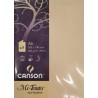 Canson - Blister de 5 cartes pliées mi teintes - Lichen - 105x148 mm - 160g/m2