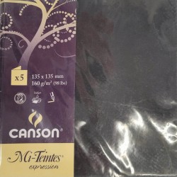 Canson - Blister de 5 cartes pliées mi teintes - Noir - 135x135 mm - 160g/m2