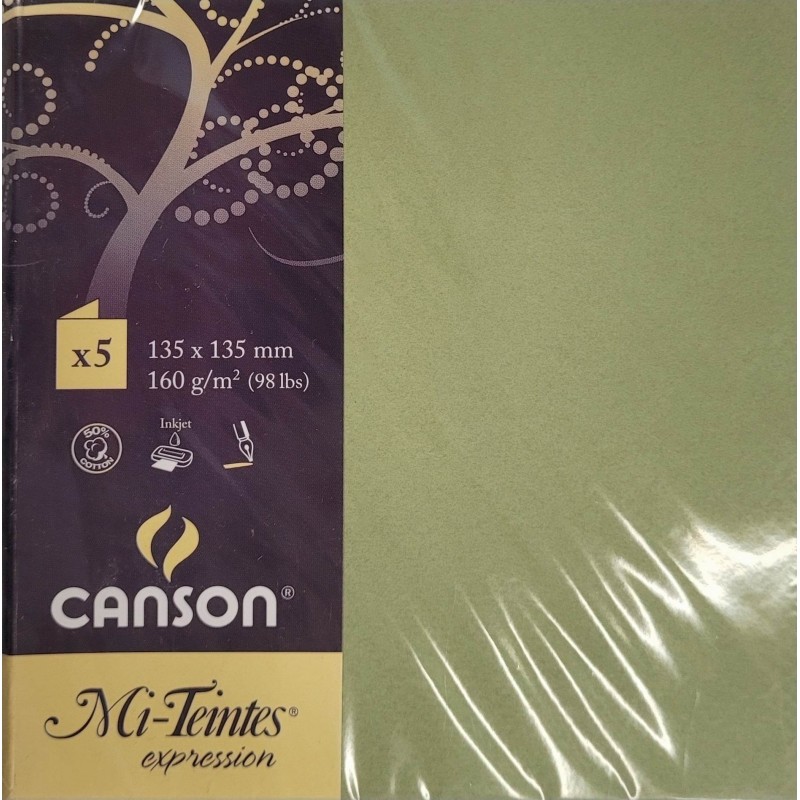 Canson - Blister de 5 cartes pliées mi teintes - Vert amande - 135x135 mm - 160g/m2