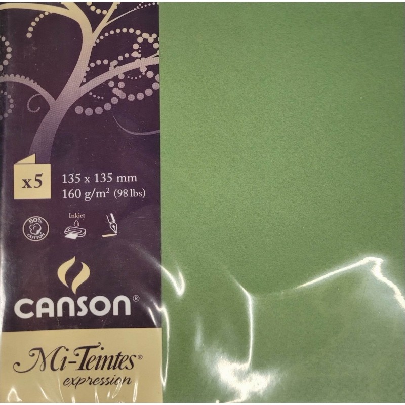 Canson - Blister de 5 cartes pliées mi teintes - Vert pomme - 135x135 mm - 160g/m2