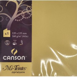 Canson - Blister de 5 cartes pliées mi teintes - Anis - 135x135 mm - 160g/m2