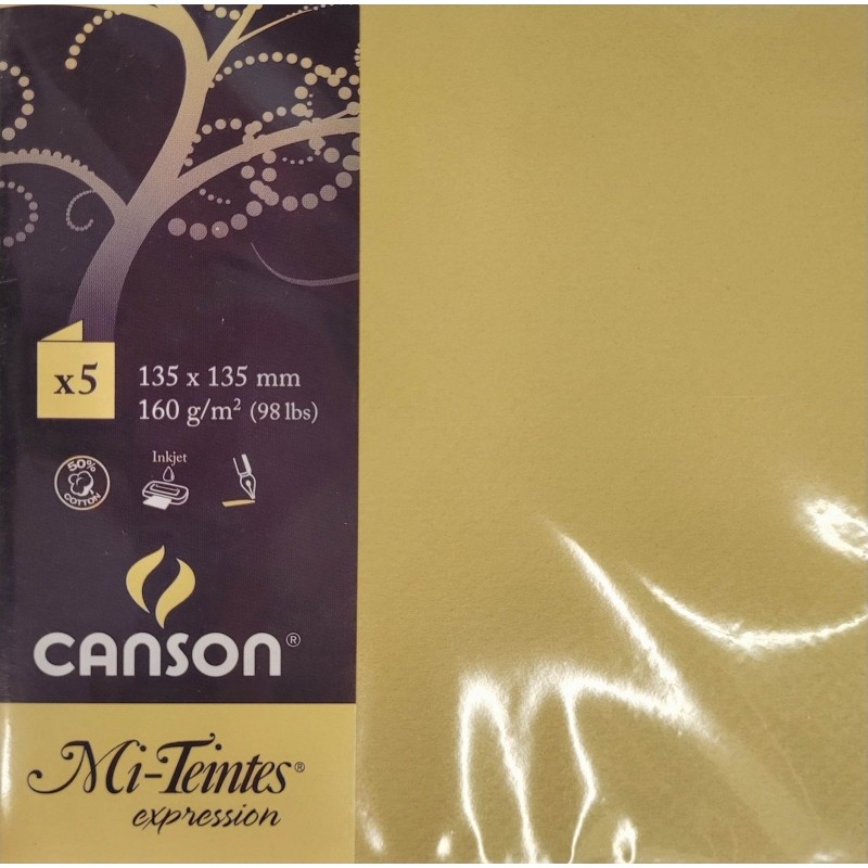 Canson - Blister de 5 cartes pliées mi teintes - Anis - 135x135 mm - 160g/m2