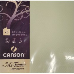 Canson - Blister de 5 cartes pliées mi teintes - Tilleul - 135x135 mm - 160g/m2