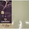 Canson - Blister de 5 cartes pliées mi teintes - Tilleul - 135x135 mm - 160g/m2