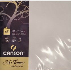 Canson - Blister de 5 cartes pliées mi teintes - Gris perle - 135x135 mm - 160g/m2