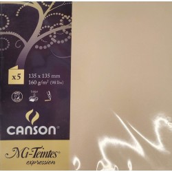 Canson - Blister de 5 cartes pliées mi teintes - Lichen - 135x135 mm - 160g/m2