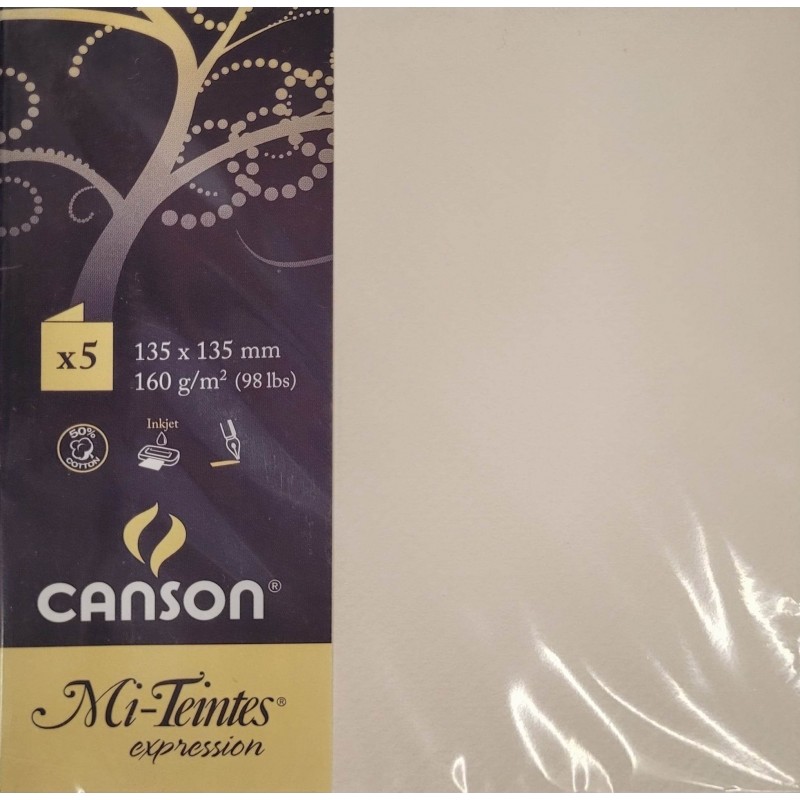 Canson - Blister de 5 cartes pliées mi teintes - Lys - 135x135 mm - 160g/m2