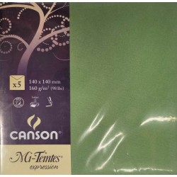 Canson - Blister de 5 enveloppes mi teintes - Vert pomme - 140x140 mm - 160g/m2