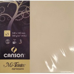 Canson - Blister de 5 enveloppes mi teintes - Lichen - 140x140 mm - 160g/m2