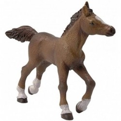 Papo - Figurine - 51076 - Chevaux, poulains et poneys - Poulain anglo-arabe