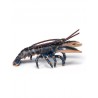 Papo - Figurine - 56052 - L'univers marin - Homard