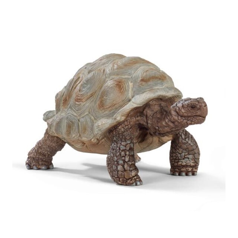 Schleich - 14824 - Wild Life - Tortue géante