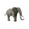 DAM ? Figurine de collection - Collecta - Animaux sauvages - Éléphant Africain - (XL)