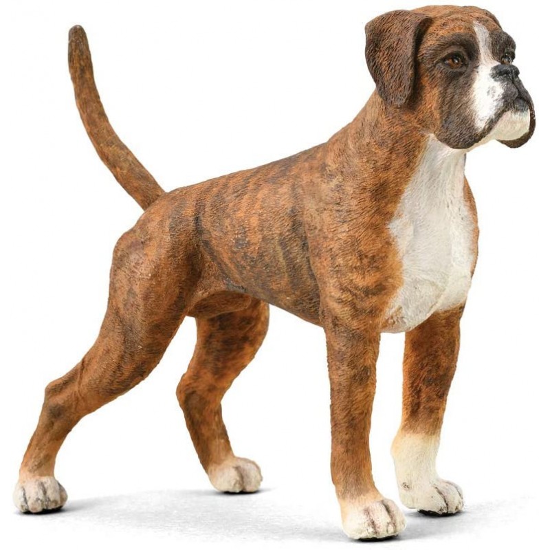 DAM - Figurine de collection - Collecta - Chiens et Chats - Boxer - (L)