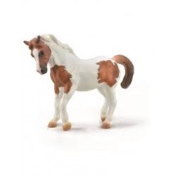 DAM ? Figurine de collection - Collecta - Chevaux - Poney Chincoteague - (XL)