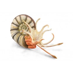 DAM ? Figurine de collection - Collecta - Préhistoire - Ammonite Pleuroceras - (XL)