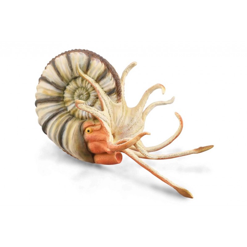 DAM ? Figurine de collection - Collecta - Préhistoire - Ammonite Pleuroceras - (XL)