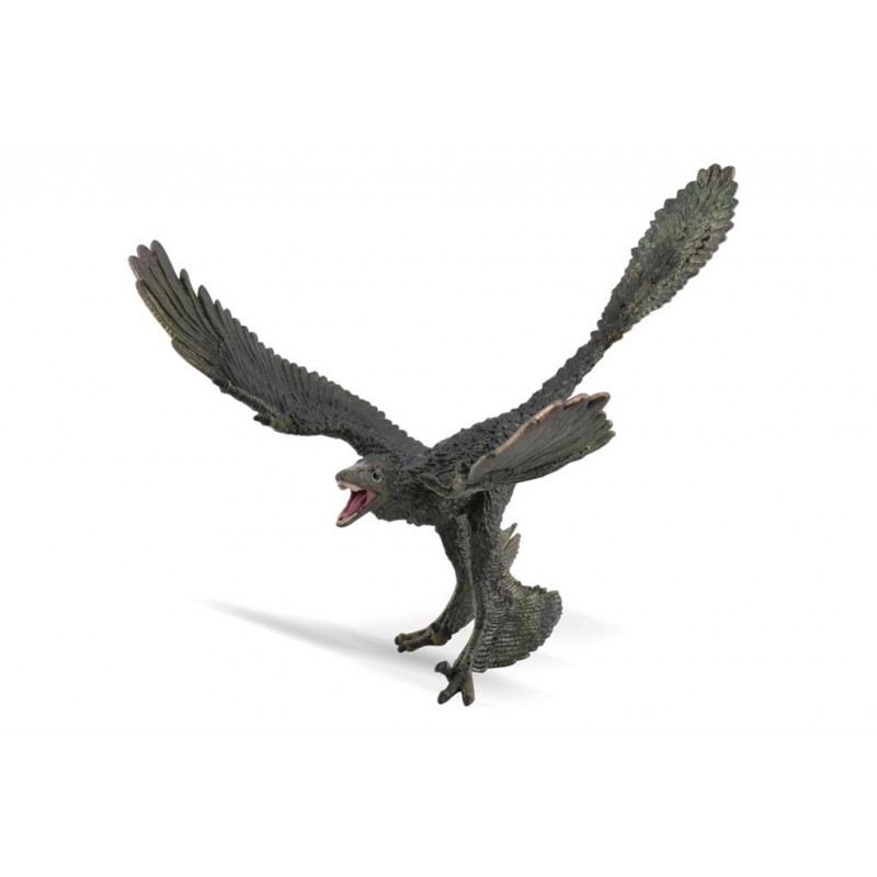 DAM ? Figurine de collection - Collecta - Préhistoire - Microraptor - 1:40