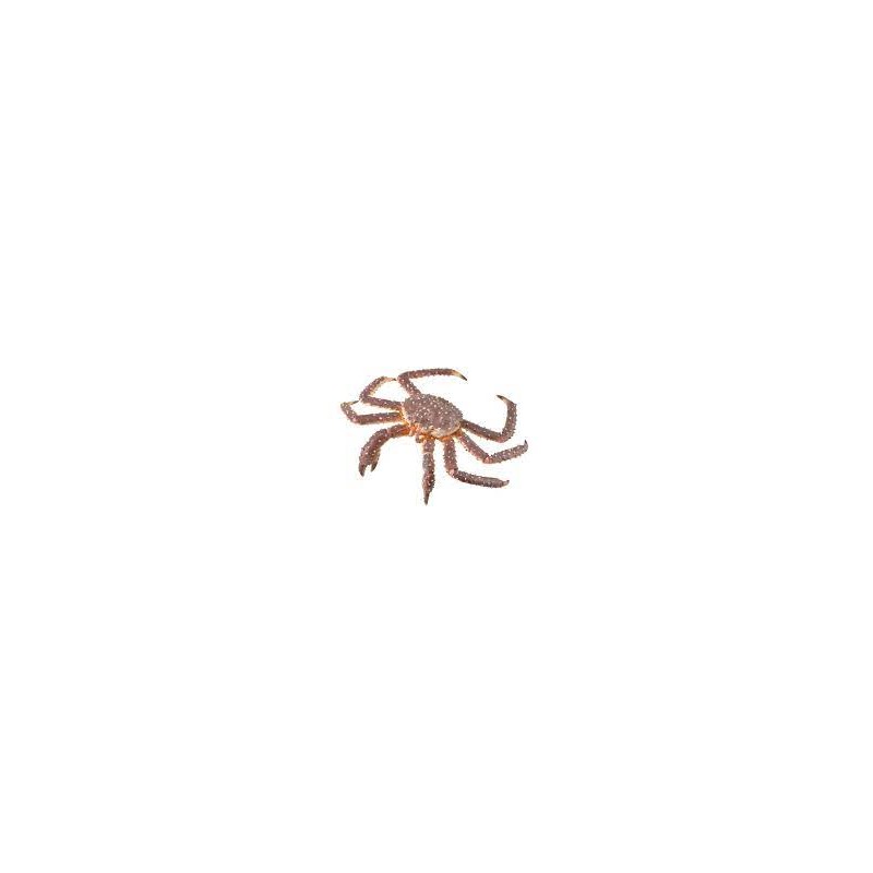DAM ? Figurine de collection - Collecta - Animaux marins - Crabe Royal - (XL)