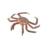 DAM - Figurine de collection - Collecta - Animaux marins - Crabe Royal - (XL)