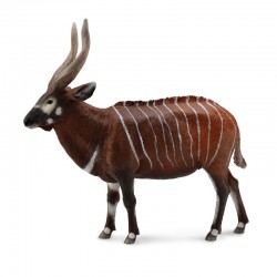 DAM ? Figurine de collection - Collecta - Animaux sauvages - Bongo - (XL)