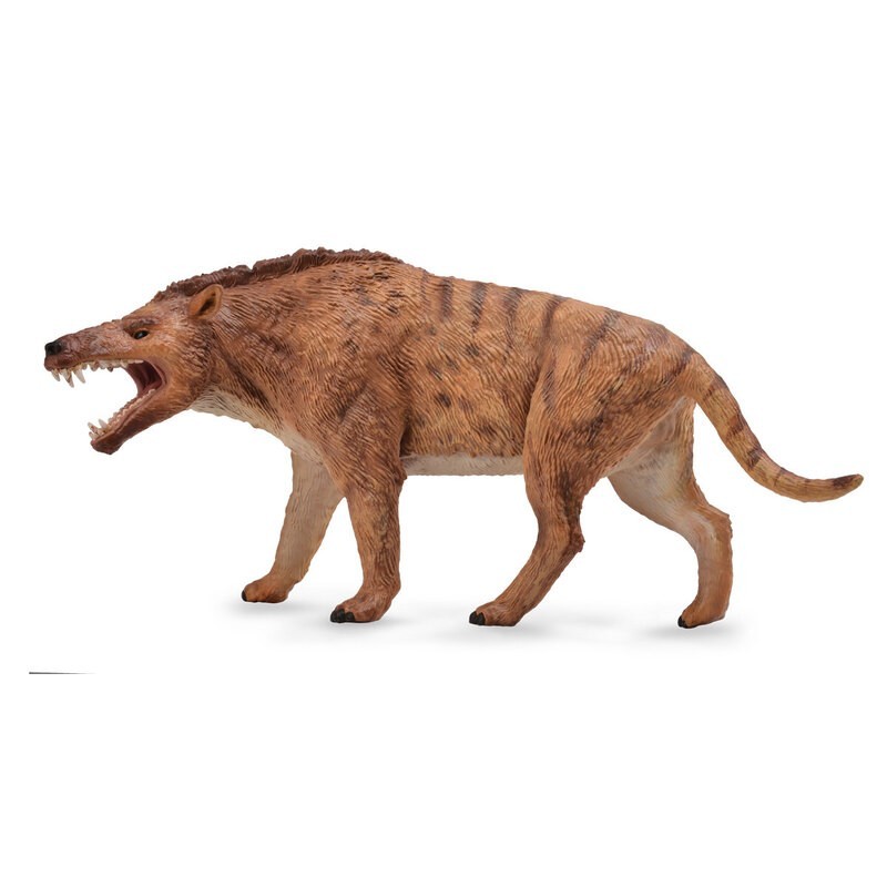 DAM ? Figurine de collection - Collecta - Préhistoire - Andrewsarchus - 1:20