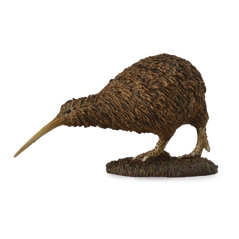 DAM - Figurine de collection - Collecta - Animaux sauvages - Kiwi - (M)