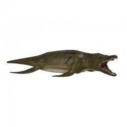 DAM - Figurine de collection - Collecta - Préhistoire - Pliosaurus - 1:40