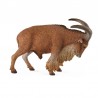 DAM - Figurine de collection - Collecta - Animaux sauvages - Mouflon Manchettes - (L)