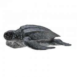 DAM ? Figurine de collection - Collecta - Animaux marins - Tortue Luth - (M)