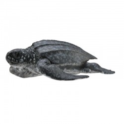 DAM - Figurine de...