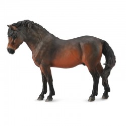 DAM ? Figurine de collection - Collecta - Chevaux - Dartmoor Pony Bai - (L)