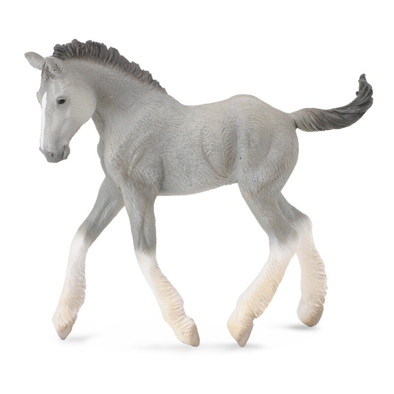 DAM - Figurine de collection - Collecta - Chevaux - Shire Horse Poulain Gris - (M)