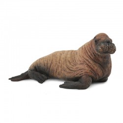 DAM ? Figurine de collection - Collecta - Animaux marins - Bébé Morse - (M)