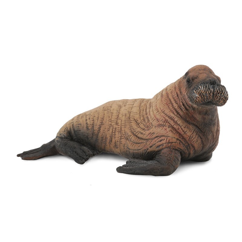 DAM - Figurine de collection - Collecta - Animaux marins - Bébé Morse - (M)
