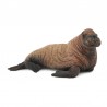 DAM - Figurine de collection - Collecta - Animaux marins - Bébé Morse - (M)