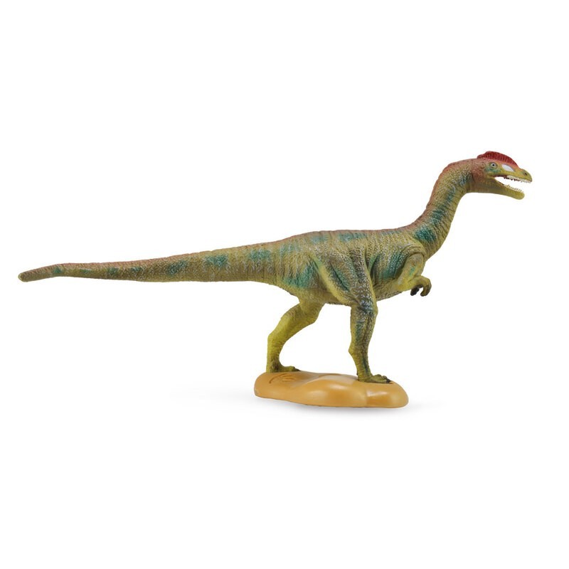 DAM - Figurine de collection - Collecta - Préhistoire - Liliensternus - (L)