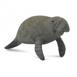 DAM ? Figurine de collection - Collecta - Animaux marins - Lamantin - (L)