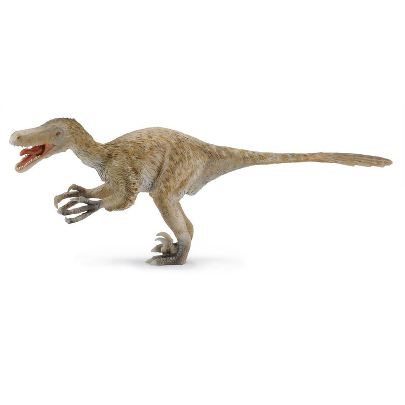 DAM ? Figurine de collection - Collecta - Préhistoire - Velociraptor - 1:6