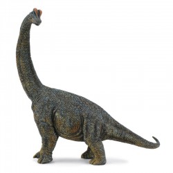 DAM ? Figurine de collection - Collecta - Préhistoire - Scale Brachiosaurus - 1:40