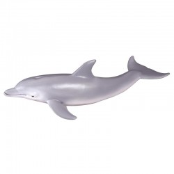 DAM ? Figurine de collection - Collecta - Animaux marins - Dauphin - (M)