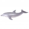 DAM - Figurine de collection - Collecta - Animaux marins - Dauphin - (M)