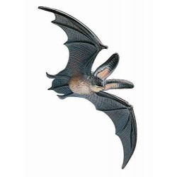 Bully - Figurine - 68441 - Chauve souris