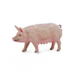 DAM - Figurine de collection - Collecta - Animaux de la ferme - Truie