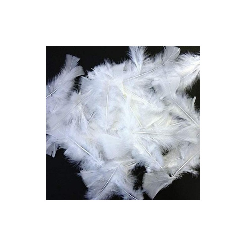 1 sachet de 5 grammes de plumes - Blanc