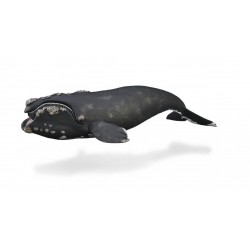 DAM - Figurine de collection - Collecta - Animaux marins - Baleine franche noire