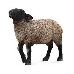 DAM - Figurine de collection - Collecta - Animaux de la ferme - Mouton suffolk